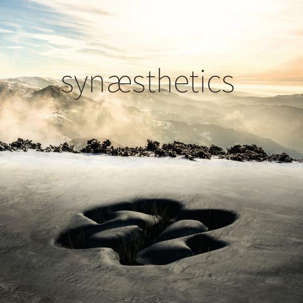 Synaesthetics  - Synaesthetics