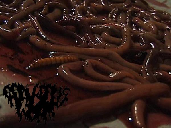 Cadaverous Worm  - Devouring Rotten Miscarriage (Upconvert)