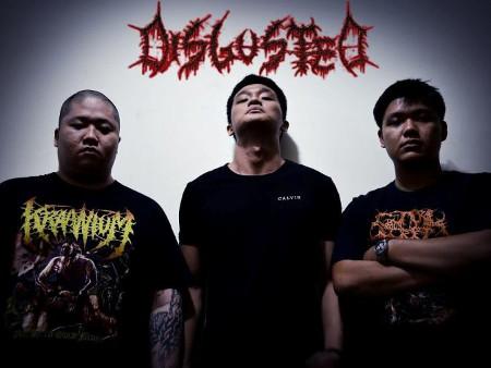 Disgusted - Discography (2007 - 2010)