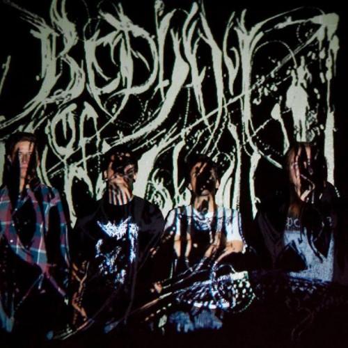 Bedlam of Cacophony - Discography (2007 - 2015)