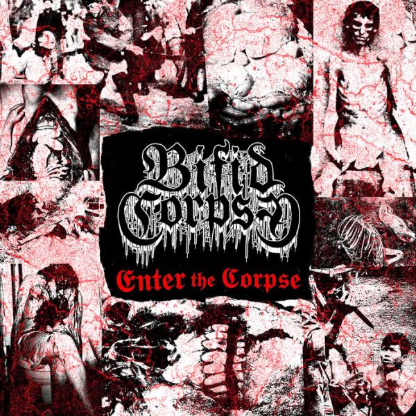 Bifid Corpse - Discography (2016 - 2018)