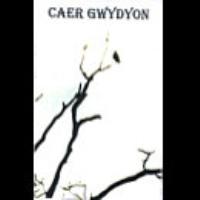 Caer Gwydyon - To the Woods I Rode (Demo)