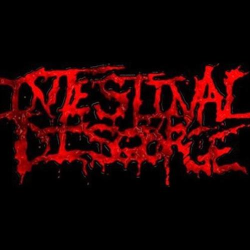 Intestinal Disgorge - Discography (1999-2018)