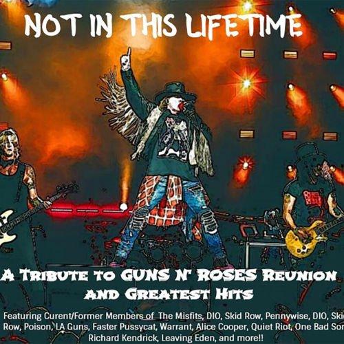 Various Artists - Not In This Lifetime: A Tribute To Guns N Roses’ Reunion &amp; Greatest Hits