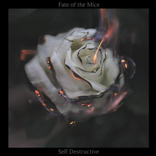 Fate of the Mice - Self Destructive