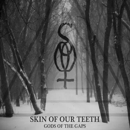 Skin of Our Teeth - Gods of the Gaps