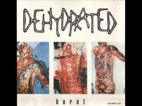 Bestialit &amp; Dehydrated - Fuckland/Burnt (Split)
