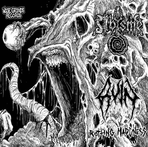 Ruin &amp; Abysme - Rotting Madness (Split)