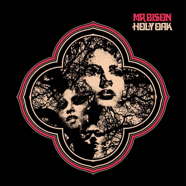 Mr. Bison - Discography (2011 - 2020)