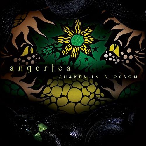Angertea - Discography (2002-2016)