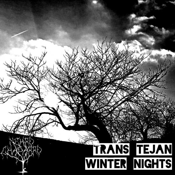 NekroChaparro - Transtejan Winter Nights (Single)