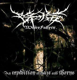 降临 - (WiderFahren) - An Expedition of Haze and Thorns