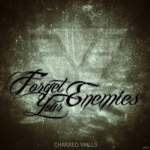 Forget Your Enemies - Discography (2013-2014) (Lossless)