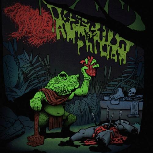 Frog Mallet - Dissection By Amphibian
