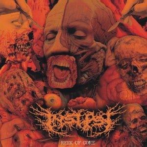 Insepsy - Discography (2011 - 2019)