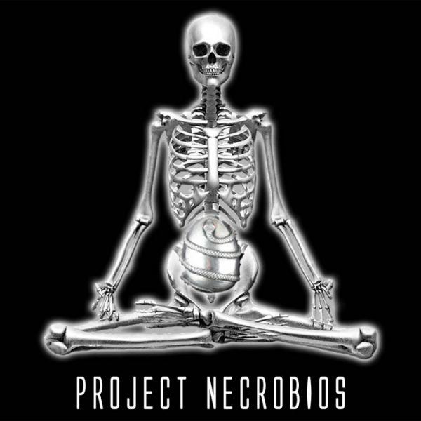 Project Necrobios - Illuminates of Thanateros