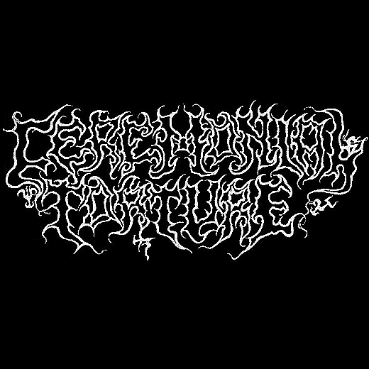 Ceremonial Torture - Discography (2016 - 2021)
