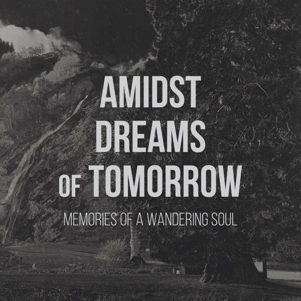 Amidst Dreams of Tomorrow - Memories of a Wandering Soul