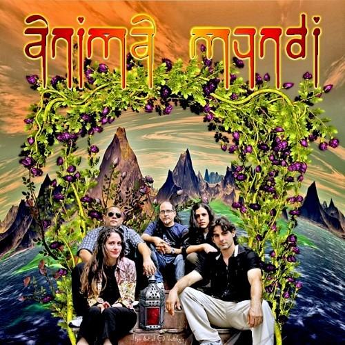 Anima Mundi - Discography (2002 - 2018)