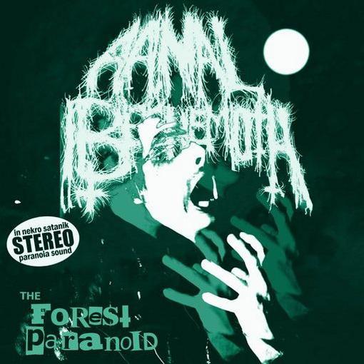 Aanal Beehemoth - The Forest Paranoid