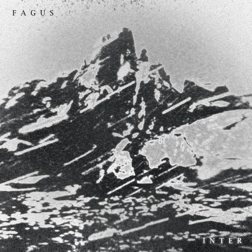 Fagus - Inter (Upconvert)