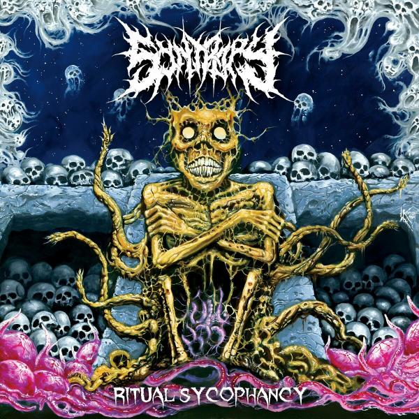 Syntropy - Ritual Sycophancy (Lossless)