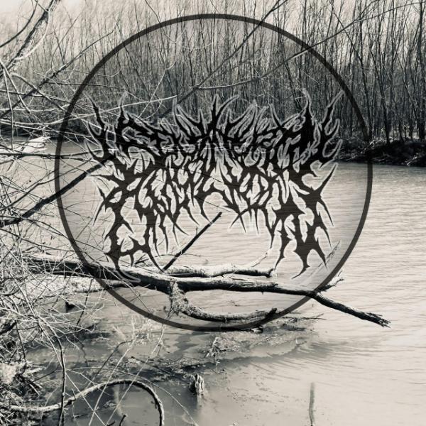 Southern Dissolution - Discography (2023)