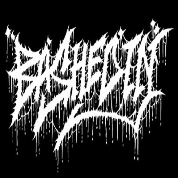 Bashed In - Discography (2022-2024)