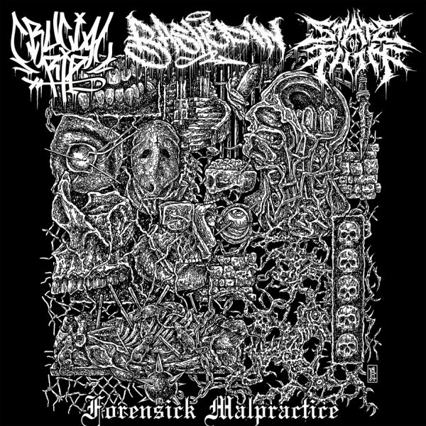 Bashed In - Discography (2022-2024)