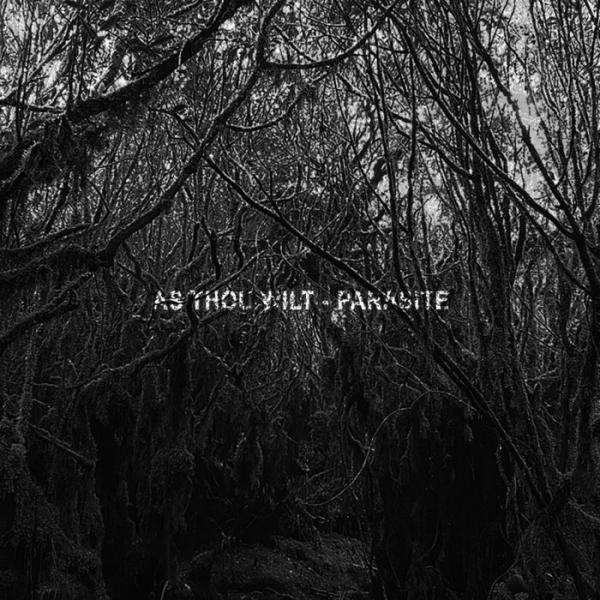 As Thou Wilt - Discography (2023 - 2024)