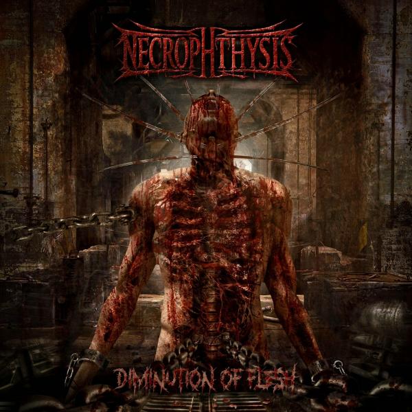 Necrophthysis - Diminution of Flesh (Lossless)