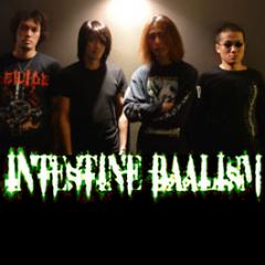 Intestine Baalism - Дискография (1995 - 2008)