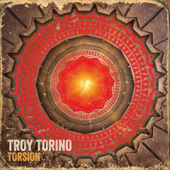 Troy Torino - Torison