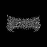 Surrender - Discography (2024 - 2026) (Upconvert)
