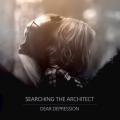 Searching the Architect - Dear Depression