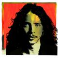 Chris Cornell - (with Soundgarden - Temple Of The Dog - Audioslave) - Chris Cornell (Compilation)
