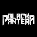 Black Pantera - Discography (2015 - 2020)