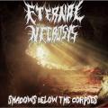 Eternal Necrosys - Shadows Below the Corpses (EP)