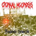 Eternal Necrosys - Pandemic Genocide