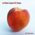 Joe J Hasemore - A Fine Layer O' Fuzz