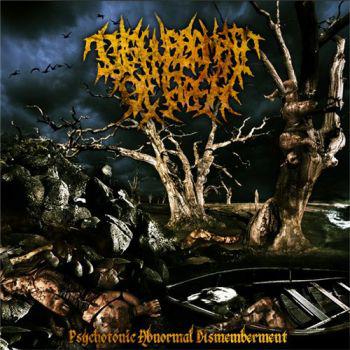 Disfigurement Of Flesh - Discography (2011 - 2014)