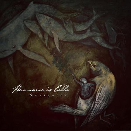 Her Name is Calla - Navigator