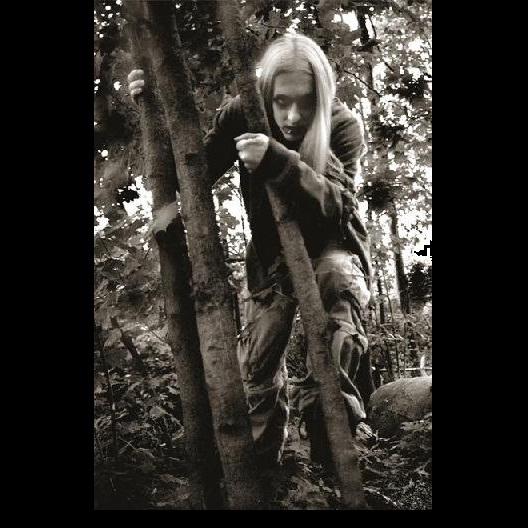 Spirit Of The Forest - Discography