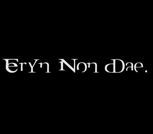 Eryn Non Dae - Discography