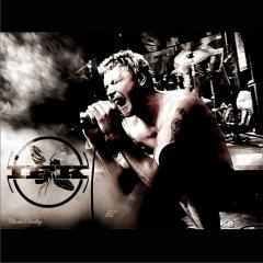 I.F.K. - (IFK, Insect Flyin Killa) - Клипография (1996-2003) (8 клипов)