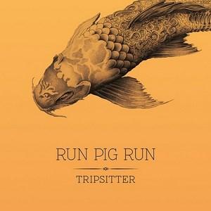 Run Pig Run - Tripsitter