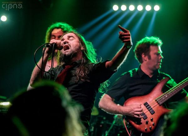 Dirty Shirt - Discography