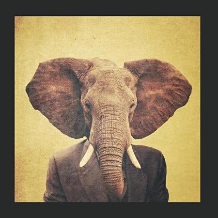 Efecto Marfil - Embrión