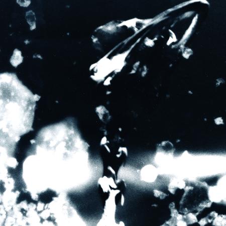 Polanski - Between This and Hate