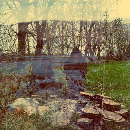 Pachyderm - Two Weeks of Spring